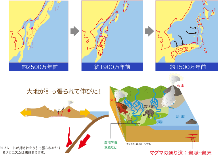 日本の成り立ち ジオパークと海の文化館