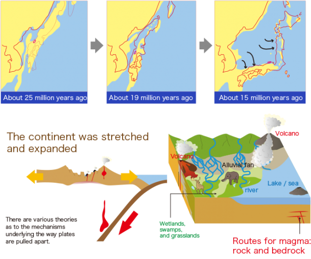 Learn about the formation of the Japanese archipelago  Kami-cho Geopark & Uminobunkakan